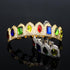 Multi Colored Stone Paved Iced Out Fangs Grillz