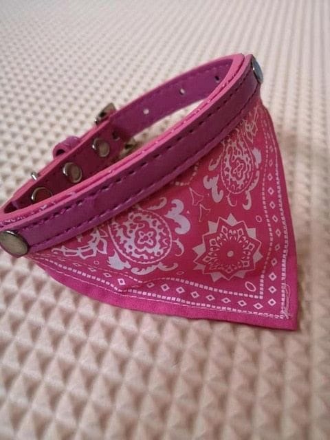 Custom Dog/Cat Collar Bandana