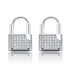 Premium Icey Lock Earrings