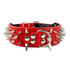 Adjustable Spiked Studded Dog Collar