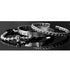 Roman Skull 3pc Bracelet Set