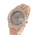 Diamondz Bust Down Watch