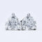 Floating Heart 925 Sterling Silver Moissanite Stud Earrings