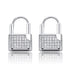 Premium Icey Lock Earrings
