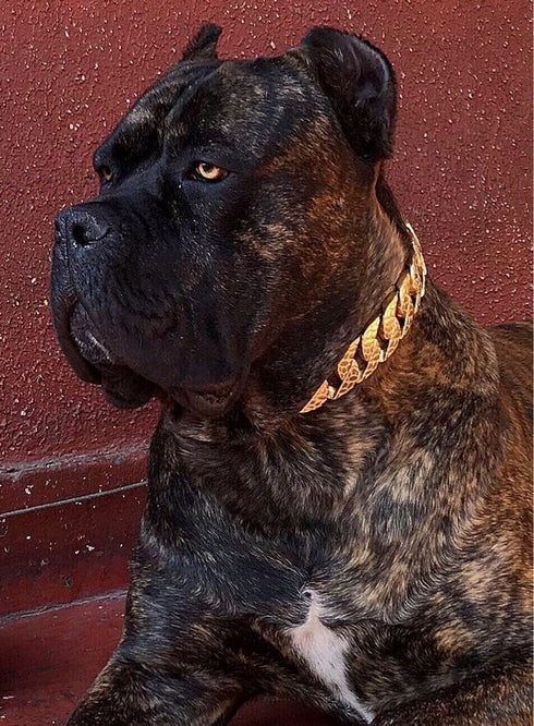 Thicc Cuban Link Dog Collar