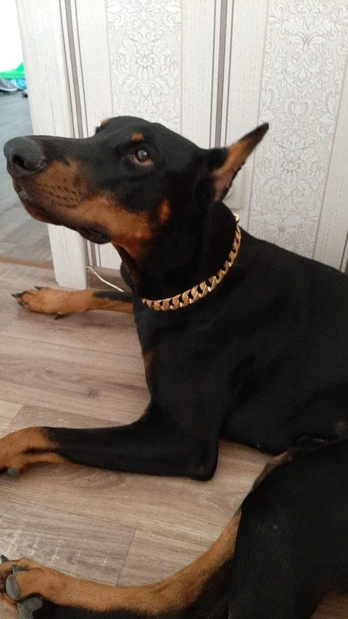 Thicc Cuban Link Dog Collar