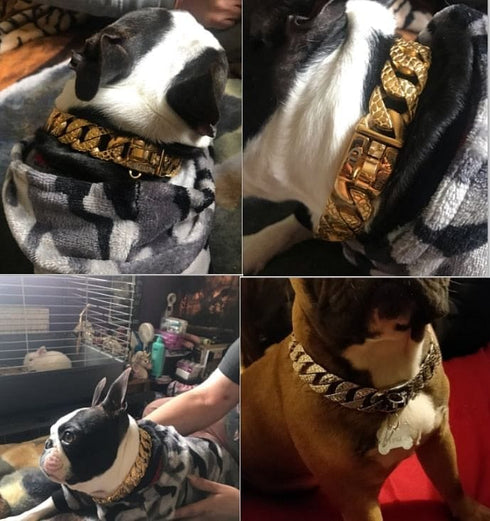 Thicc Cuban Link Dog Collar