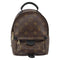 Palm Springs Backpack Monogram Canvas Mini