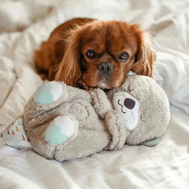 Kalmerende Otter Knuffel (Voor huisdieren en kinderen)